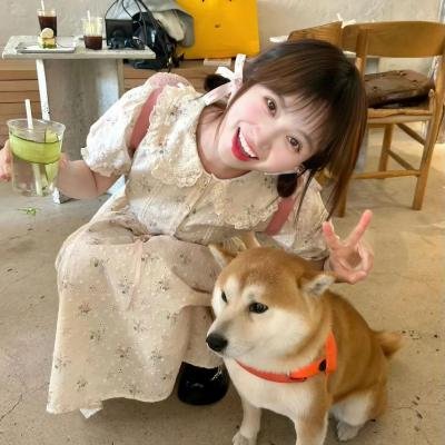 笨蛋们漫长的冬天